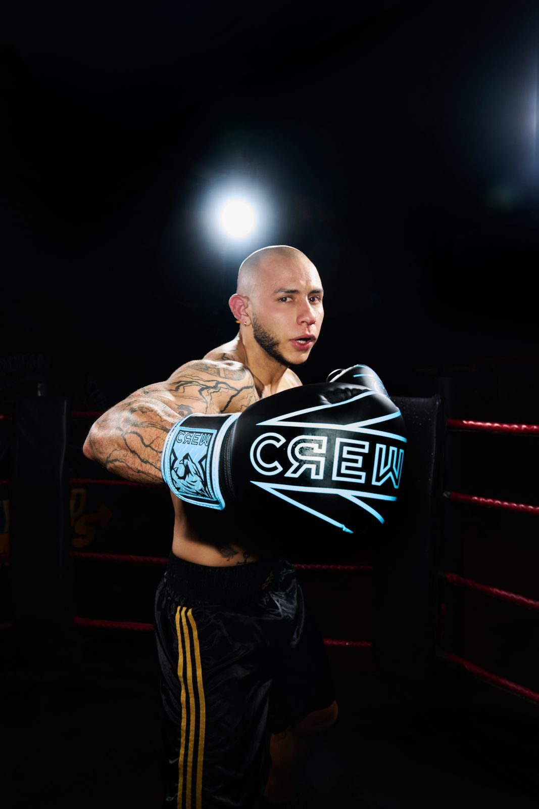 Guantes de boxeo CREW